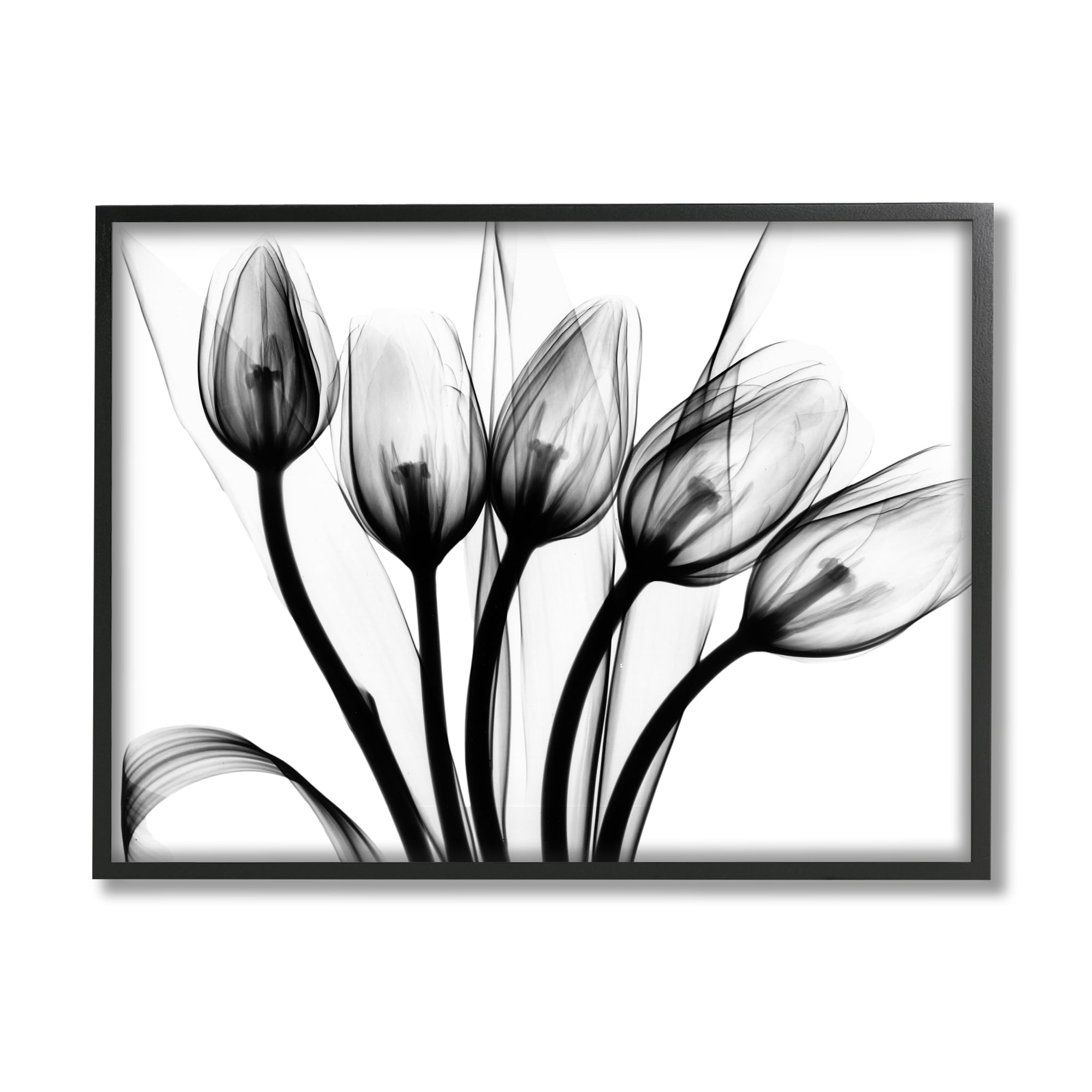 Stupell Industries Modern Tulip Blossom Abstract Monochrome Silhouette Photography , 20 x 16, Design by Albert Koetsier