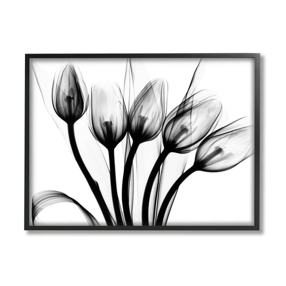 Stupell Industries Modern Tulip Blossom Abstract Monochrome Silhouette Photography , 30 x 24, Design by Albert Koetsier