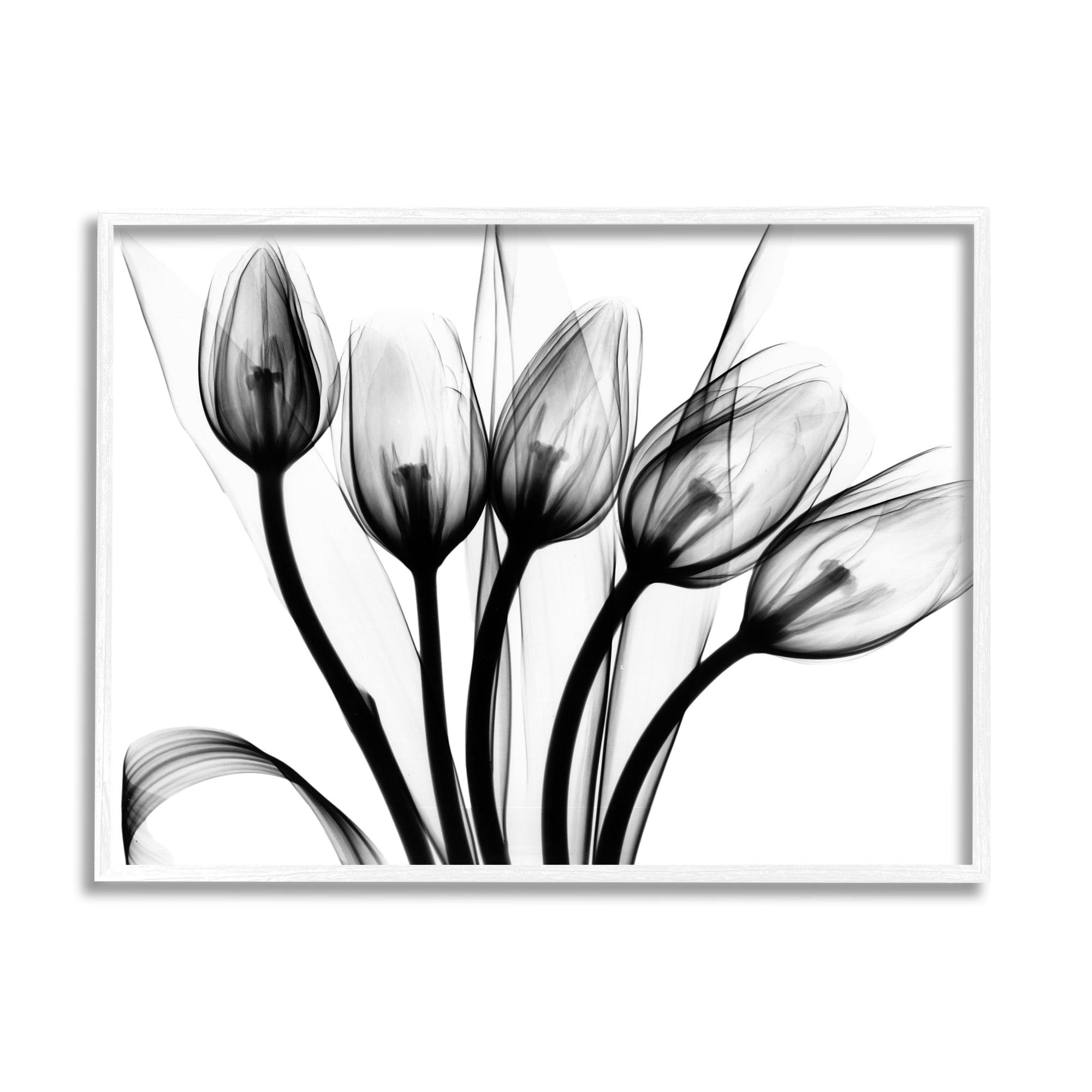 Stupell Industries Modern Tulip Blossom Abstract Monochrome Silhouette Photography , 30 x 24, Design by Albert Koetsier
