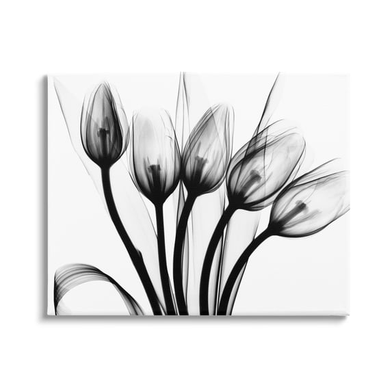 Stupell Industries Modern Tulip Blossom Abstract Monochrome Silhouette Photography Gallery-Wrapped Canvas Print Wall Art, 40x30, by Albert Koetsier