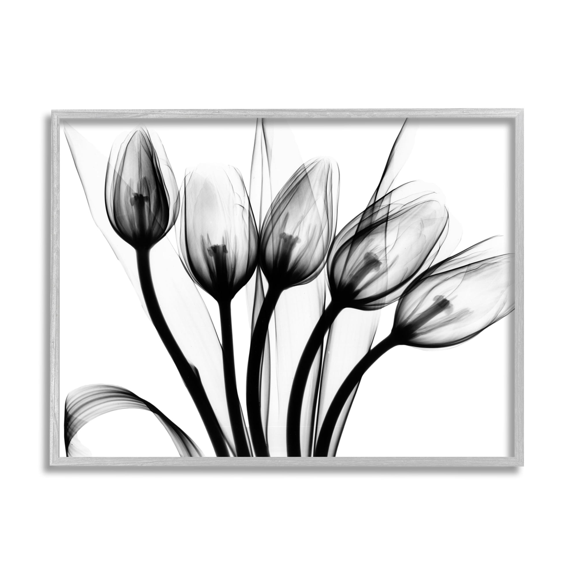 Stupell Industries Modern Tulip Blossom Abstract Monochrome Silhouette Photography Gray Framed Art Print Wall Art, 20x16, by Albert Koetsier