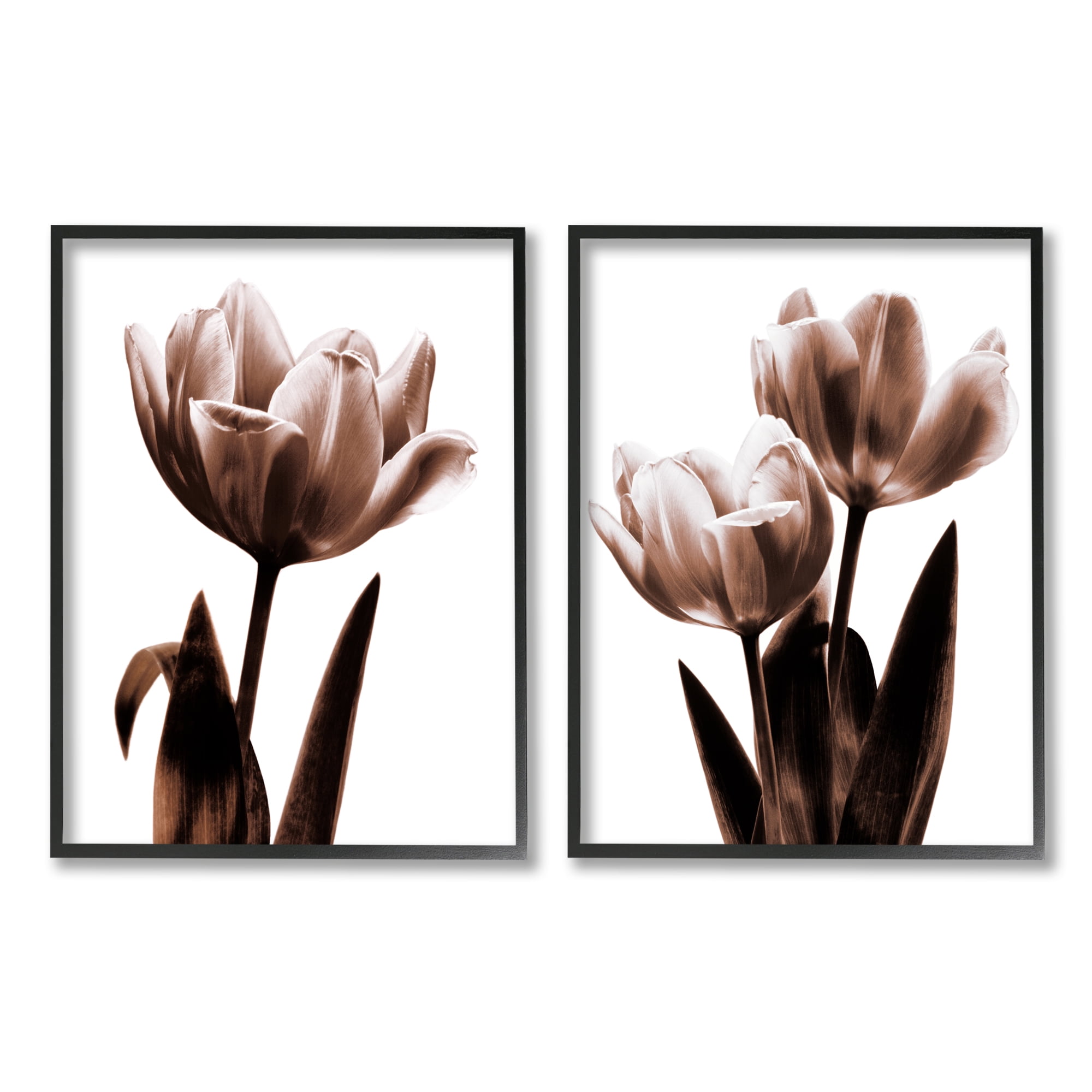 Stupell Industries Modern Tulip Silhouettes Botanical & Floral Photography Black Framed Art Print Wall Art, 16 x 20, Set of 2