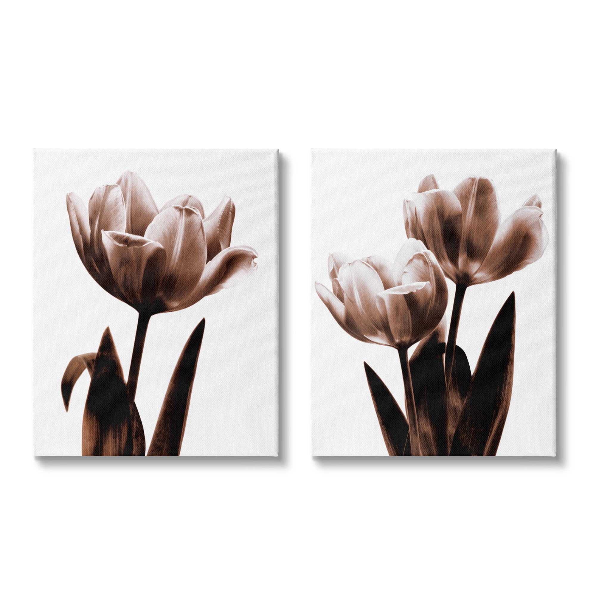 Stupell Industries Modern Tulip Silhouettes Botanical & Floral Photography Gallery Wrapped Canvas Print Wall Art, 16 x 20, Set of 2