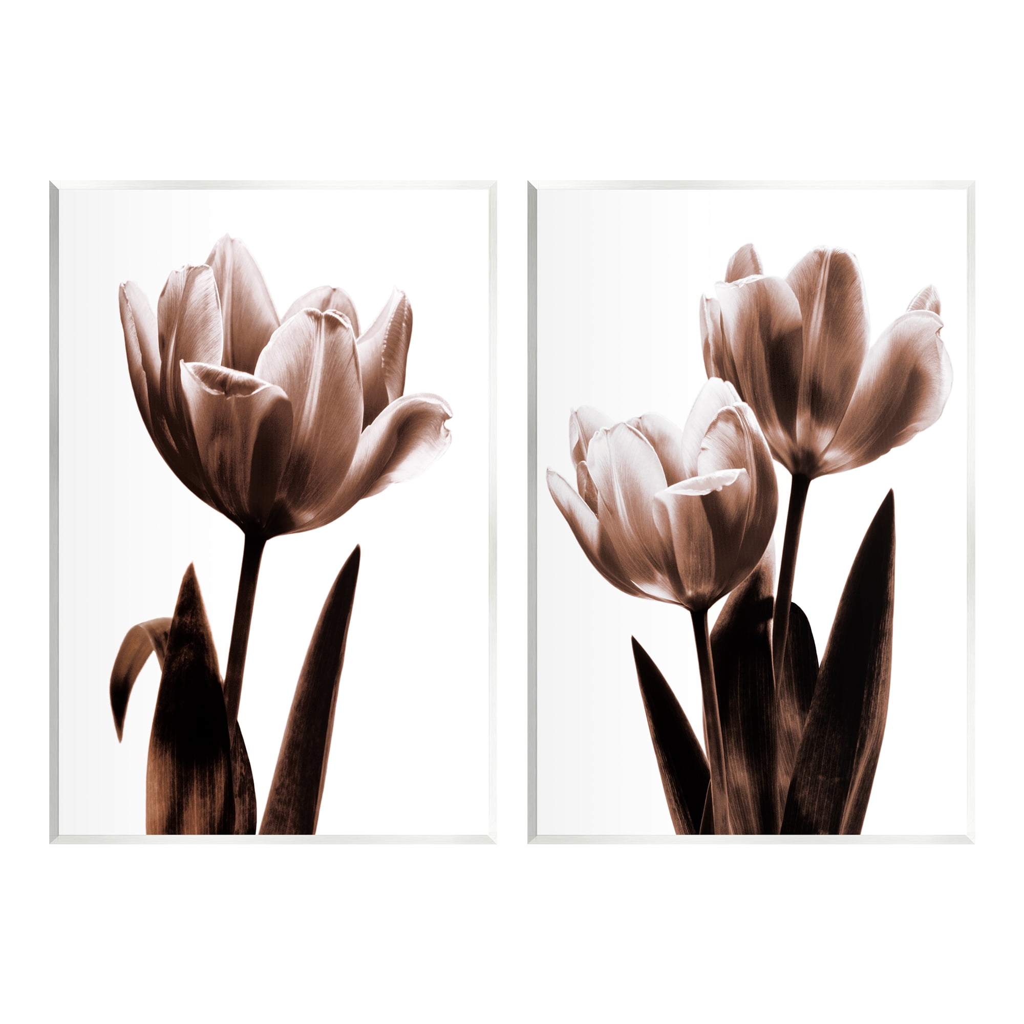 Stupell Industries Modern Tulip Silhouettes Botanical & Floral Photography Unframed Art Print Wall Art, 13 x 19, Set of 2