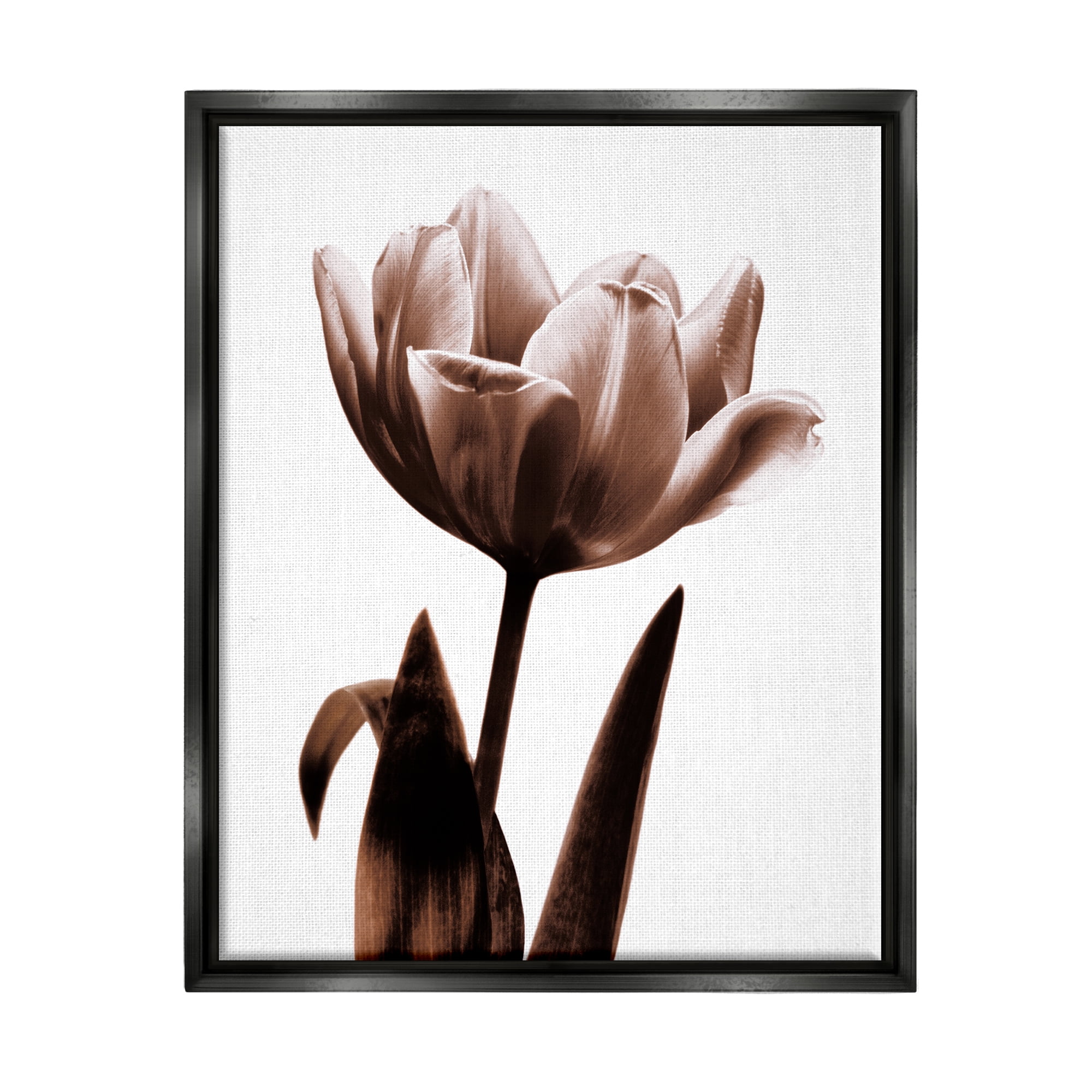 Stupell Industries Modern Tulip on White Botanical & Floral Photography Black Floater Framed Art Print Wall Art, 17 x 21