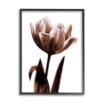 thumbnail image 1 of Stupell Industries Modern Tulip on White Botanical & Floral Photography Black Framed Art Print Wall Art, 16 x 20, 1 of 2