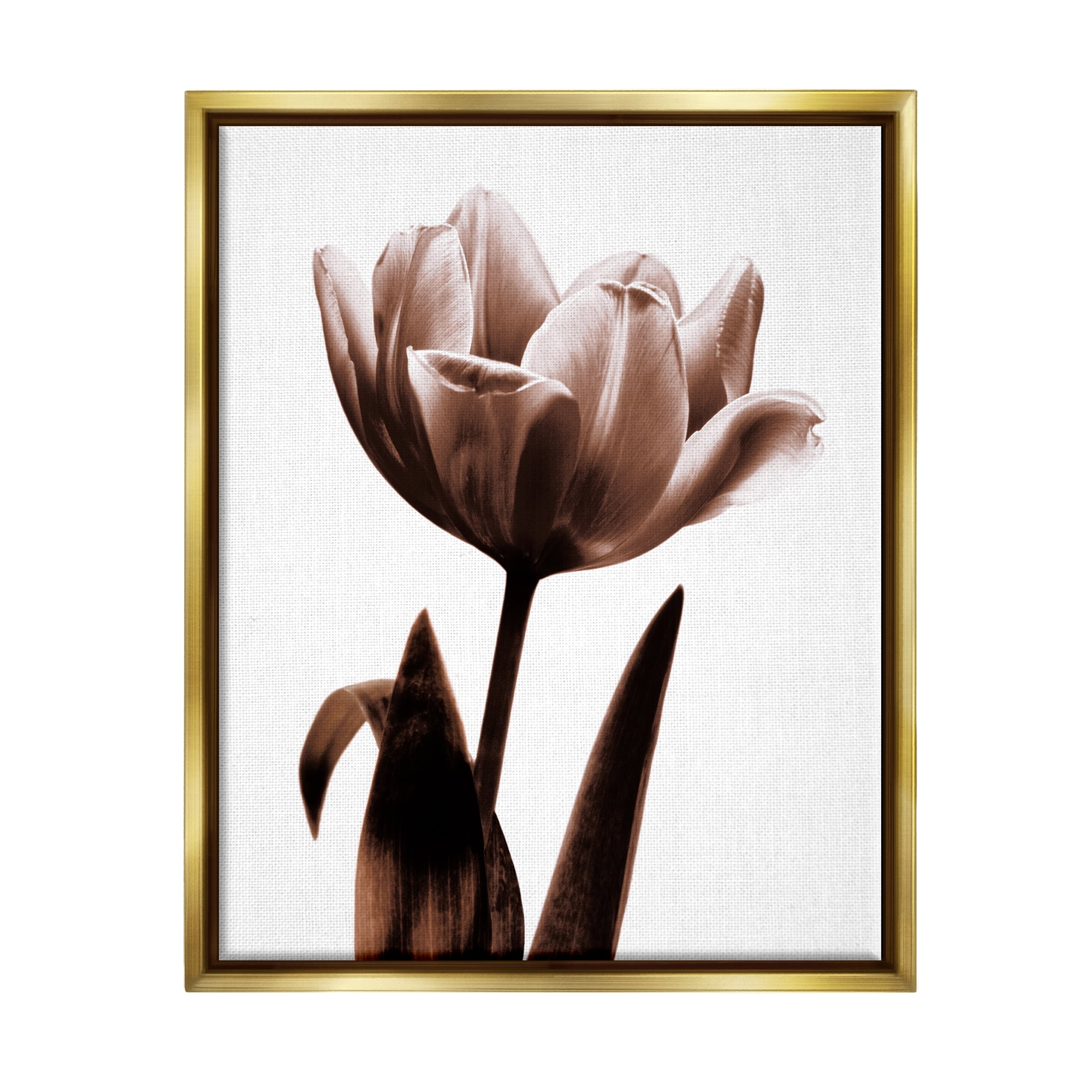 Stupell Industries Modern Tulip on White Botanical & Floral Photography Gold Floater Framed Art Print Wall Art, 25 x 31