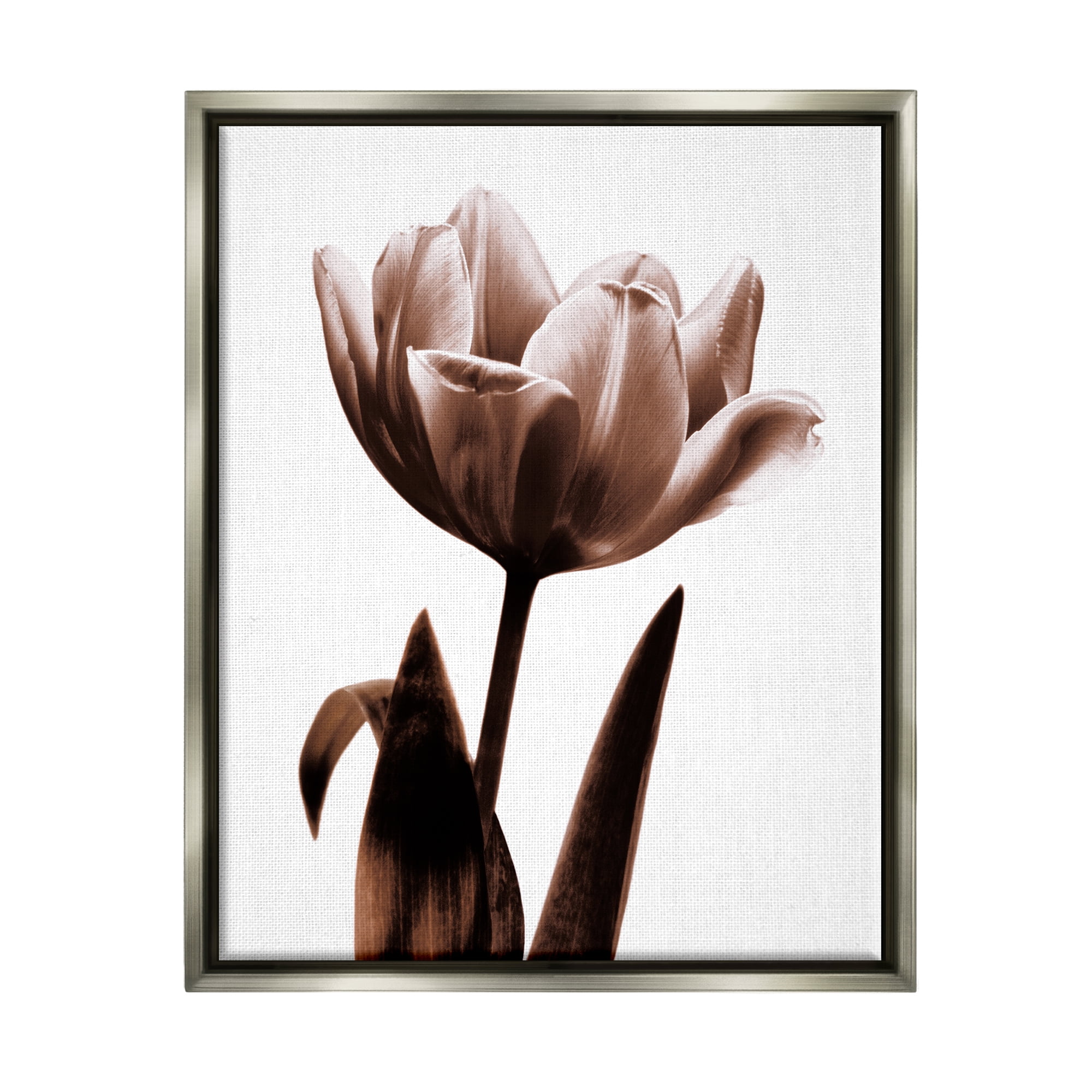 Stupell Industries Modern Tulip on White Botanical & Floral Photography Gray Floater Framed Art Print Wall Art, 25 x 31