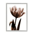 thumbnail image 1 of Stupell Industries Modern Tulip on White Botanical & Floral Photography Gray Framed Art Print Wall Art, 16 x 20, 1 of 9