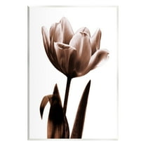 Stupell Industries Modern Tulip on White Botanical & Floral Photography Unframed Art Print Wall Art, 10 x 15