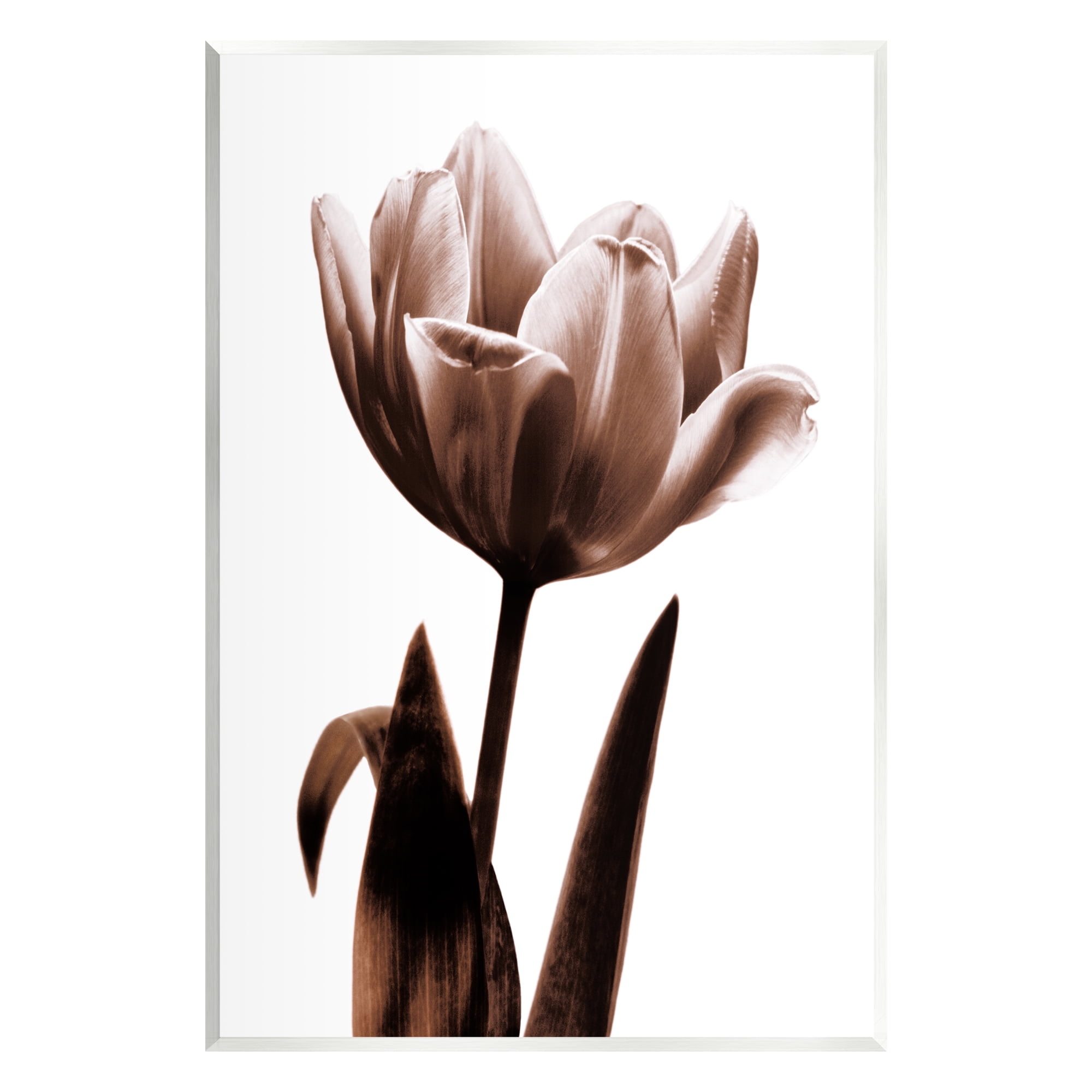 Modern Brown Tulip on White MDF Wood Wall Art
