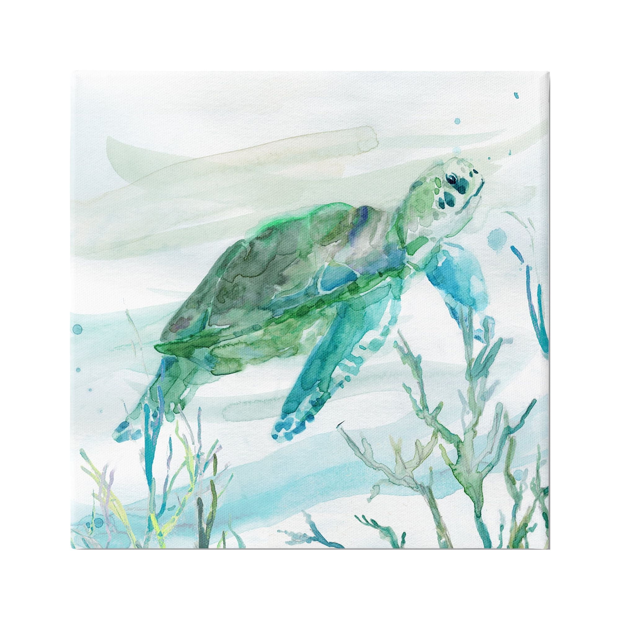 Stupell Industries Modern Turtle Underwater Animals & Insects Painting Gallery Wrapped Canvas Print Wall Art, 24 x 24