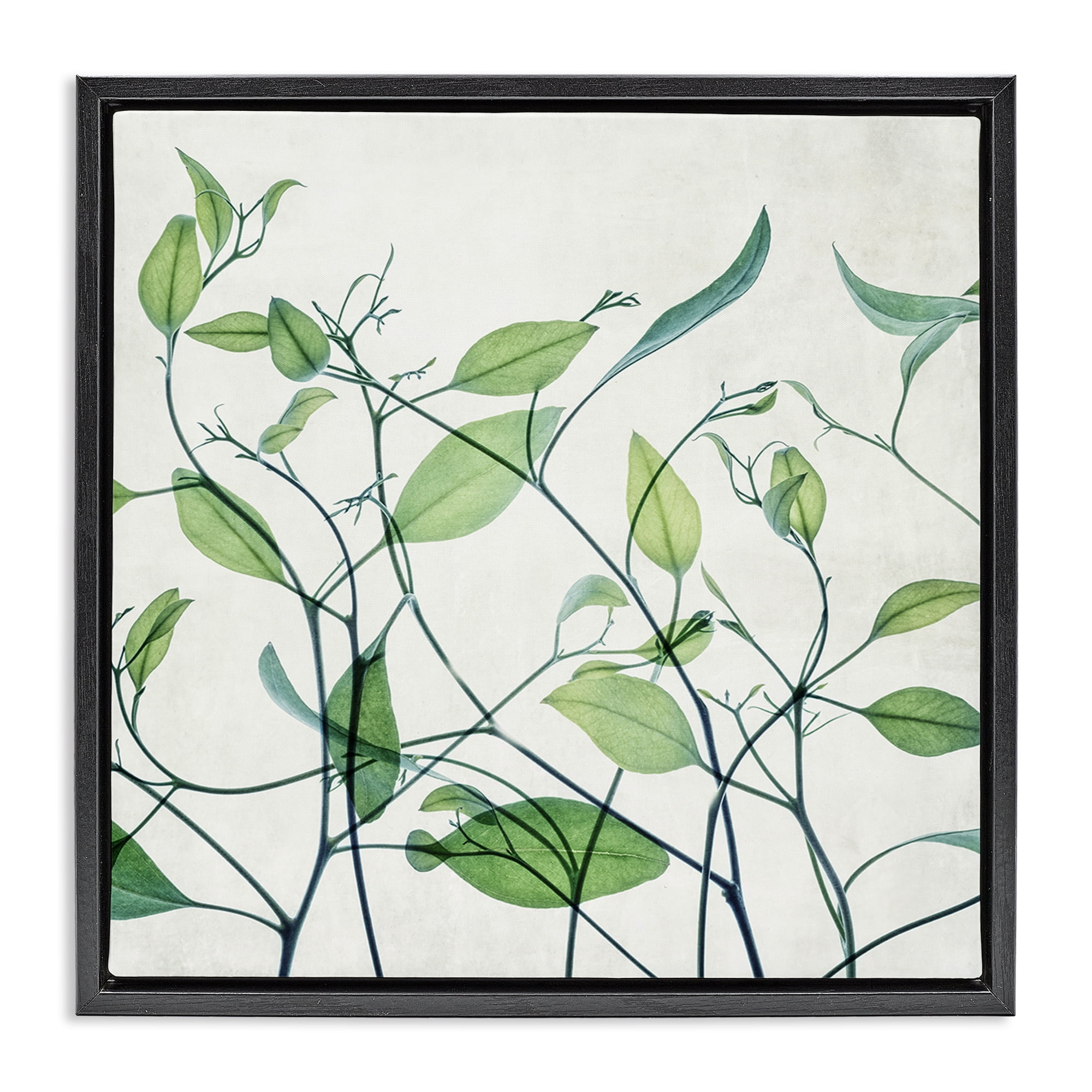 Stupell Industries Modern Vine Pattern Botanical & Floral Painting Black Floater Framed Art Print Wall Art, 18 x 18