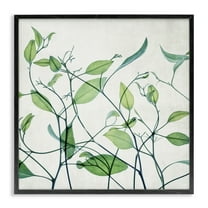 Stupell Industries Modern Vine Pattern Botanical & Floral Painting Black Framed Art Print Wall Art, 12 x 12