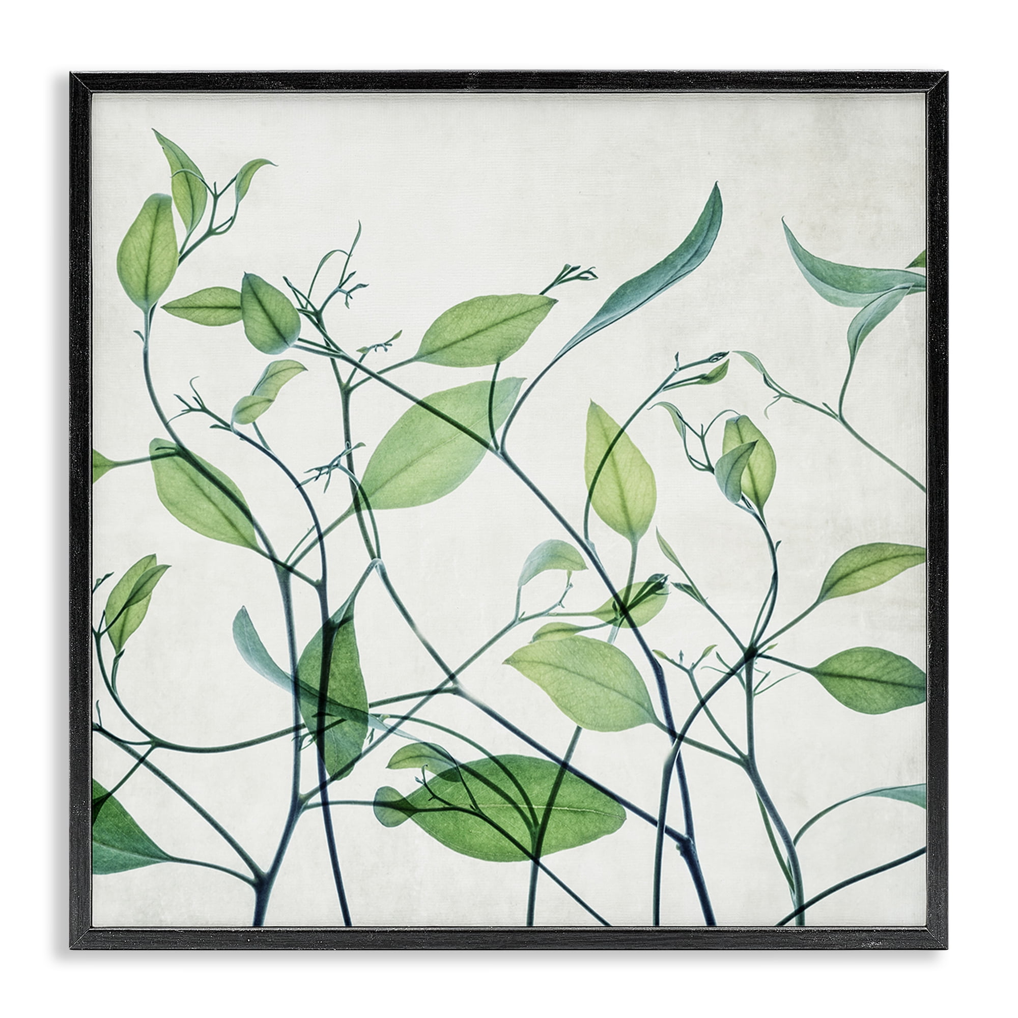 Stupell Industries Modern Vine Pattern Botanical & Floral Painting Black Framed Art Print Wall Art, 24 x 24