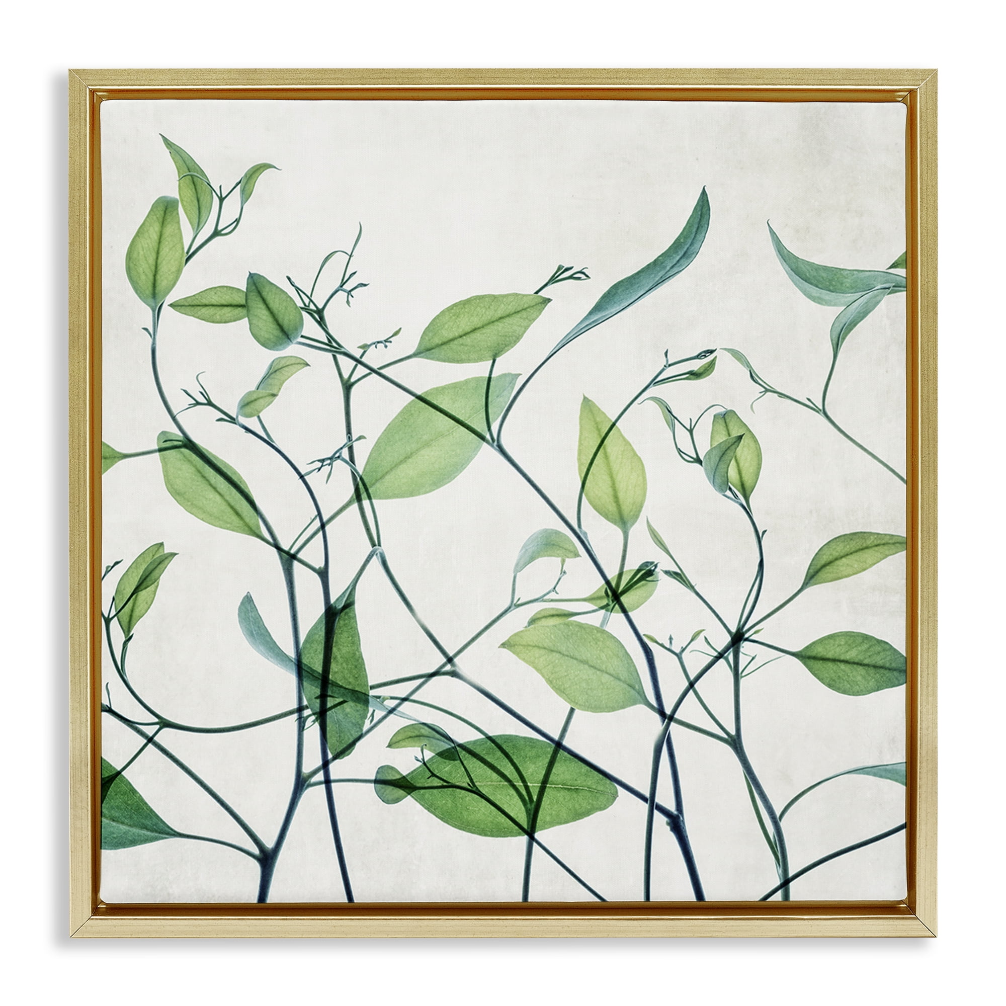Stupell Industries Modern Vine Pattern Botanical & Floral Painting Gold Floater Framed Art Print Wall Art, 18 x 18
