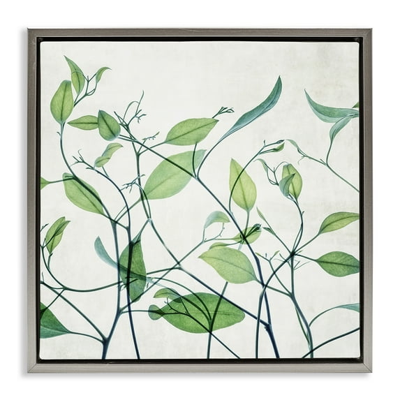 Stupell Industries Modern Vine Pattern Botanical & Floral Painting Gray Floater Framed Art Print Wall Art, 25 x 25