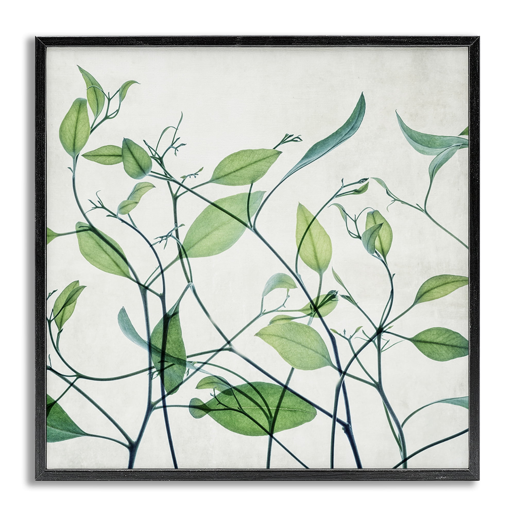 Stupell Industries Modern Vine Pattern Botanical & Floral Painting Gray Framed Art Print Wall Art, 24 x 24