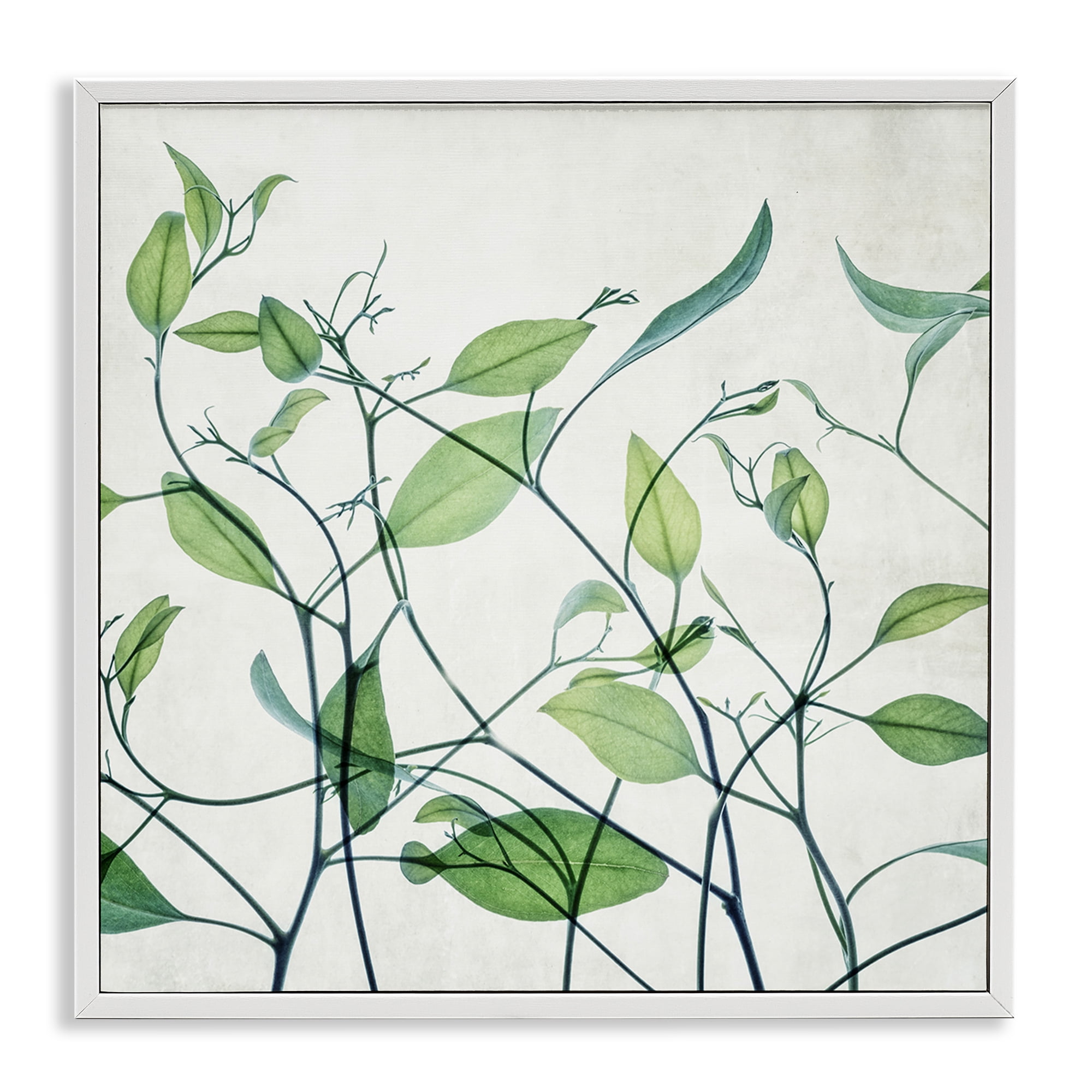 Stupell Industries Modern Vine Pattern Botanical & Floral Painting White Framed Art Print Wall Art, 17 x 17