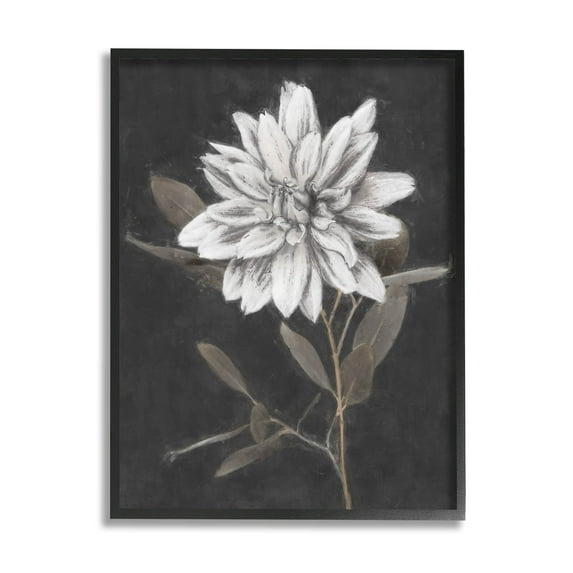 Stupell Industries Modern White Dahlia Blossom Sprout Painting Black Framed Art Print Wall Art, Design by Nina Blue