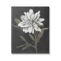 Stupell Industries Modern White Dahlia Blossom Sprout Painting Gallery Wrapped Canvas Print Wall Art, Design by Nina Blue