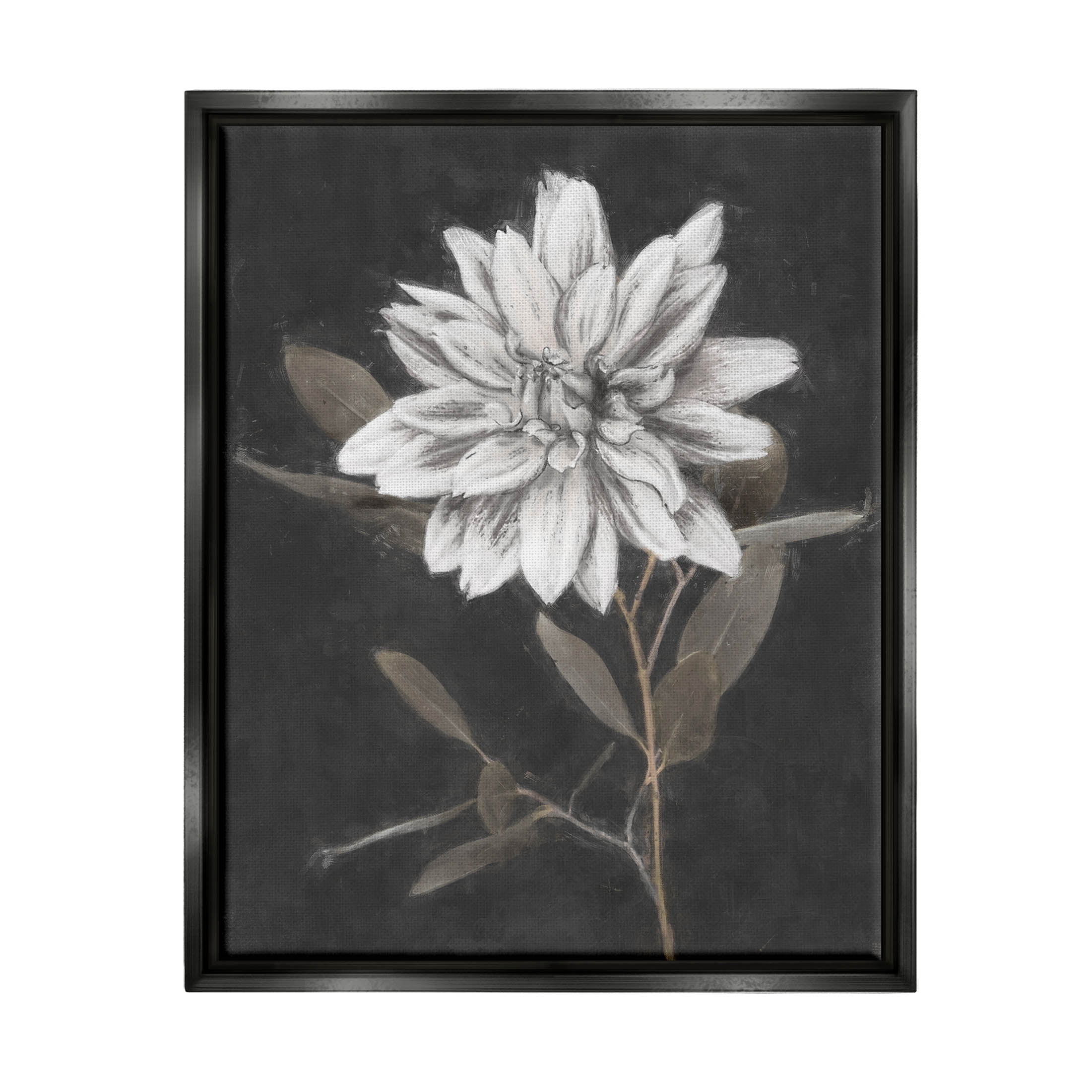 Stupell Industries Modern White Dahlia Blossom Sprout Painting Jet Black Floating Framed Canvas Print Wall Art, Design by Nina Blue