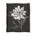 thumbnail image 1 of Stupell Industries Modern White Dahlia Blossom Sprout Painting Luster Gray Floating Framed Canvas Print Wall Art, Design by Nina Blue, 1 of 6