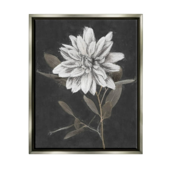 Stupell Industries Modern White Dahlia Blossom Sprout Painting Luster Gray Floating Framed Canvas Print Wall Art, Design by Nina Blue