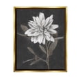 thumbnail image 1 of Stupell Industries Modern White Dahlia Blossom Sprout Painting Metallic Gold Floating Framed Canvas Print Wall Art, Design by Nina Blue, 1 of 6