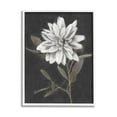 thumbnail image 1 of Stupell Industries Modern White Dahlia Blossom Sprout Painting White Framed Art Print Wall Art, Design by Nina Blue, 1 of 7