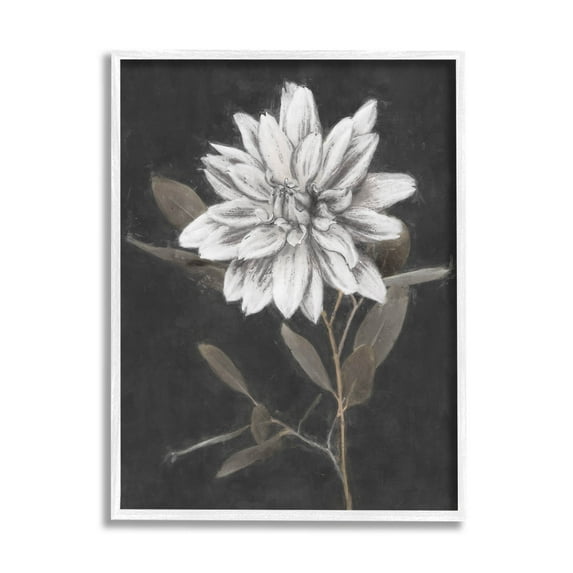 Stupell Industries Modern White Dahlia Blossom Sprout Painting White Framed Art Print Wall Art, Design by Nina Blue