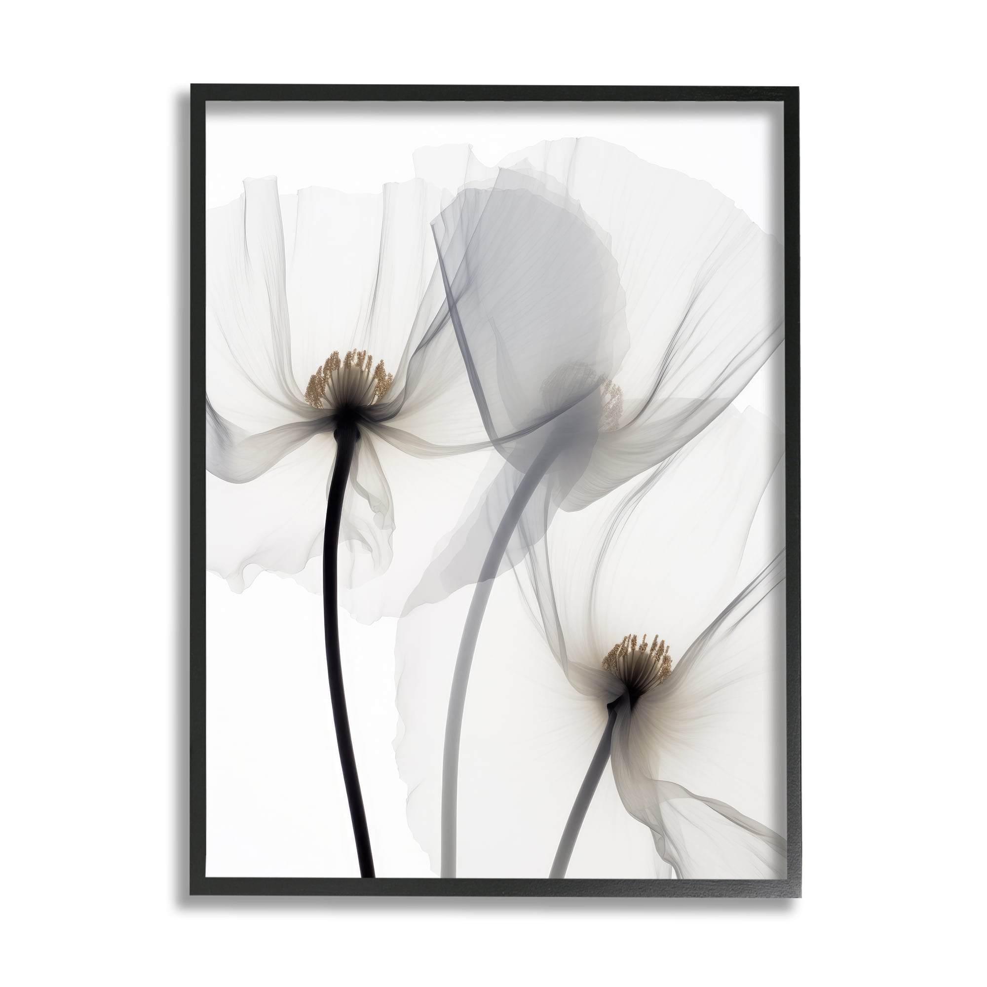 Stupell Industries Modern White Poppies Botanical & Floral Photography Black Framed Art Print Wall Art, 16 x 20