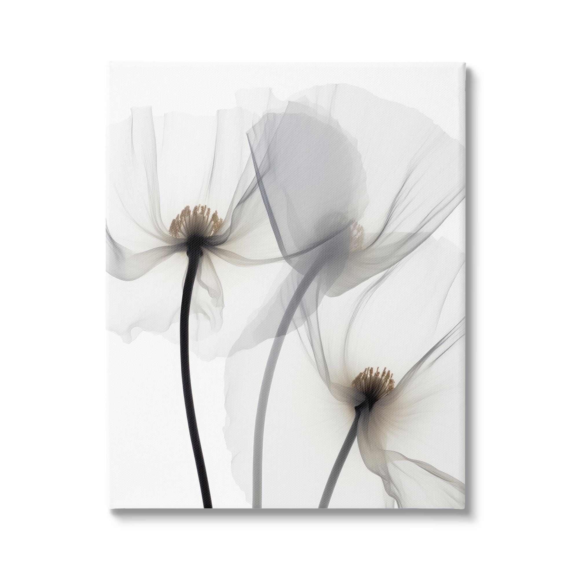 Stupell Industries Modern White Poppies Botanical & Floral Photography Gallery Wrapped Canvas Art Print Wall Art, 36 x 48
