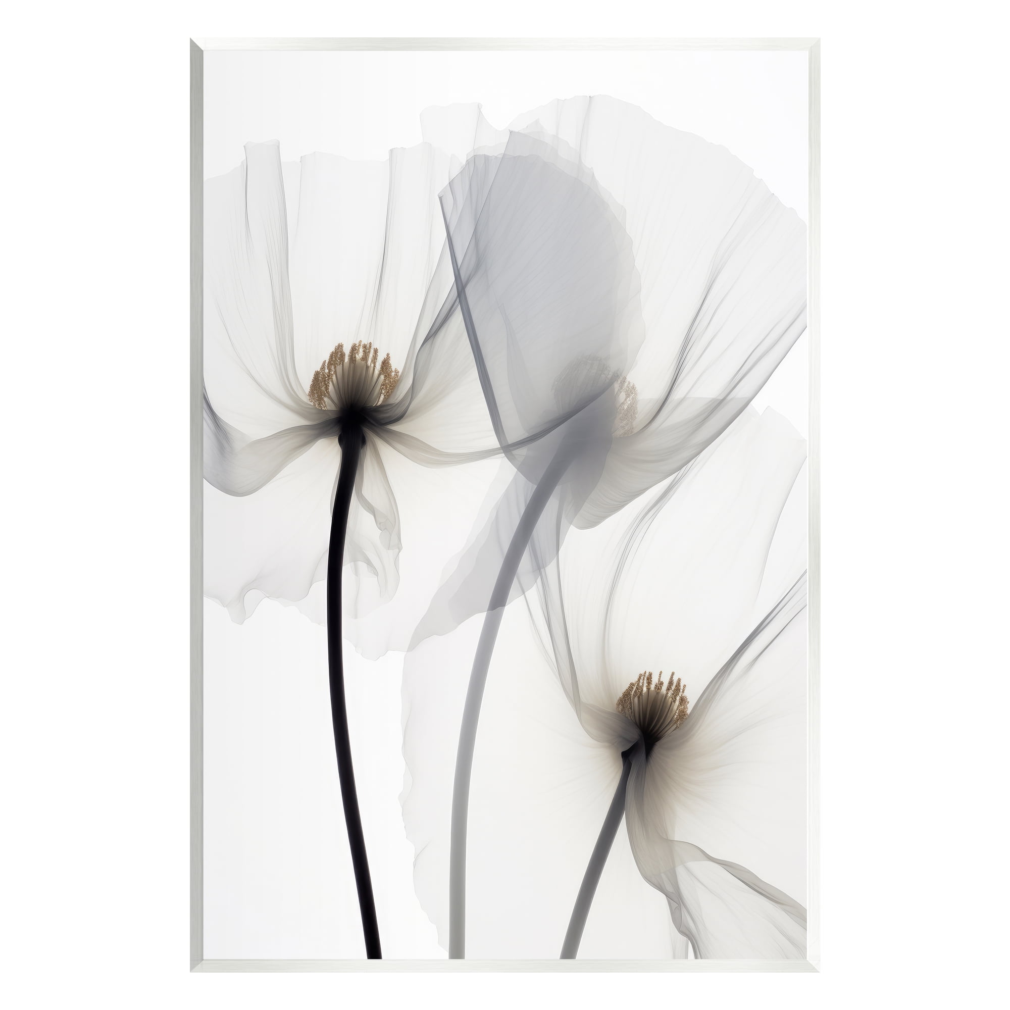 Stupell Industries Modern White Poppies Botanical & Floral Photography Unframed Art Print Wall Art, 10 x 15