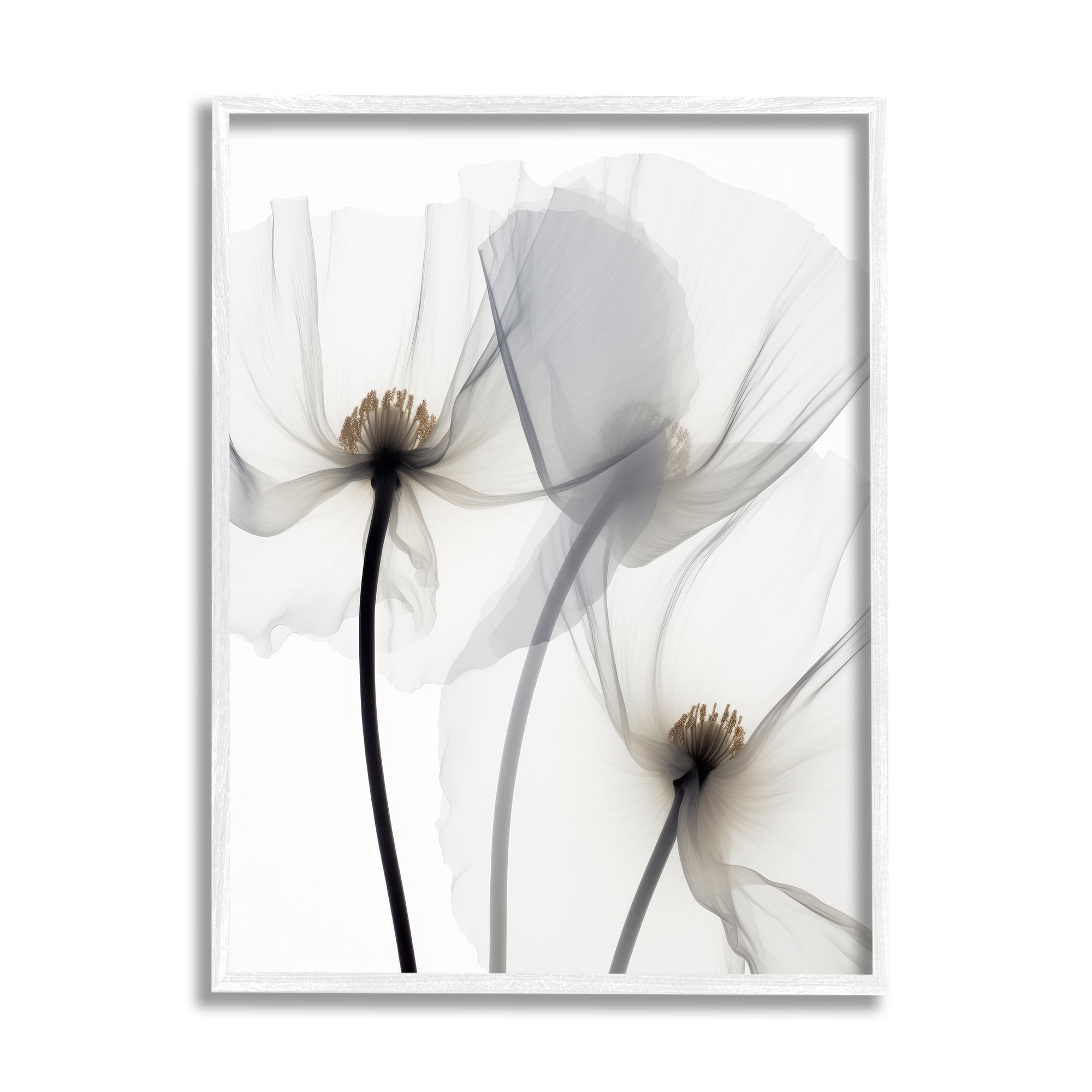 Stupell Industries Modern White Poppies Botanical & Floral Photography White Framed Art Print Wall Art, 24 x 30