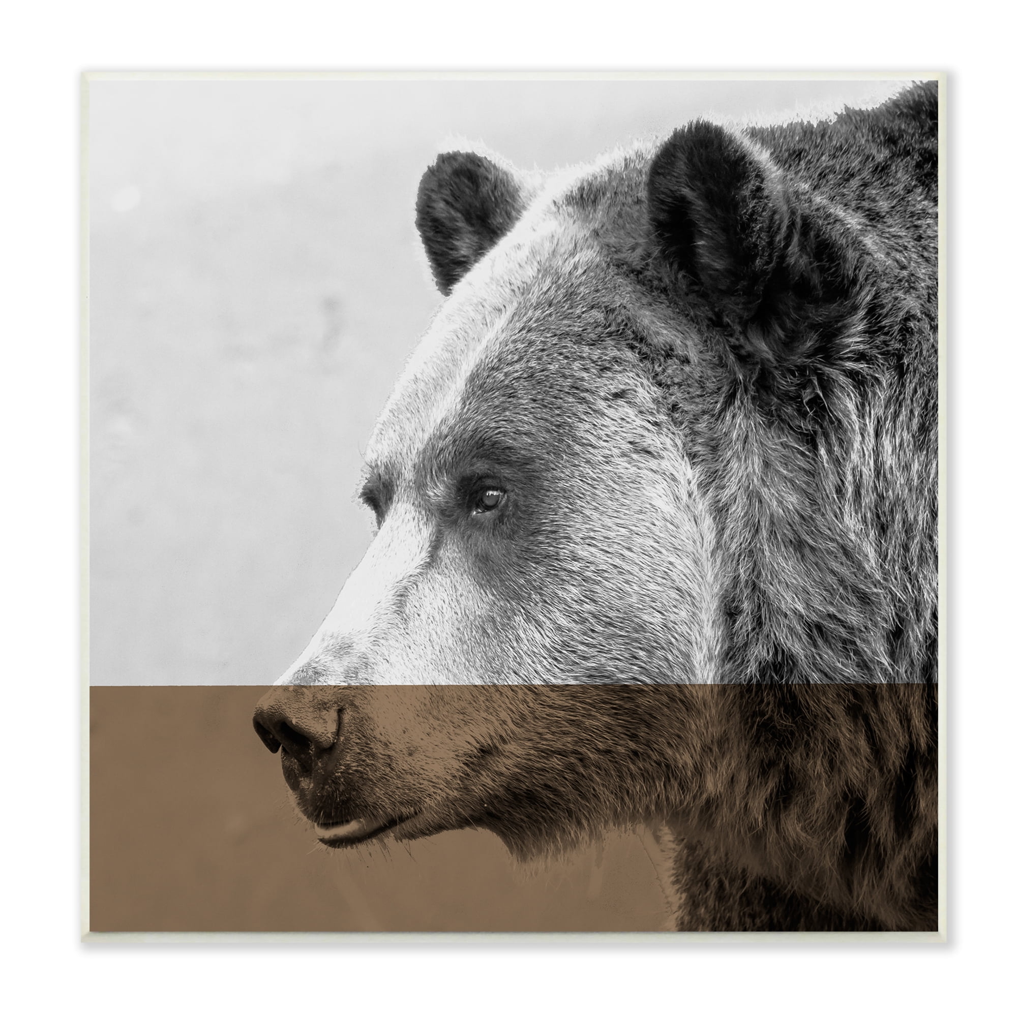 Stupell Industries Modern Woodland Bear Portrait Layered Geometrical Shapes Animals & Insects Photography Unframed Art Print Wall Art, 12 x 12
