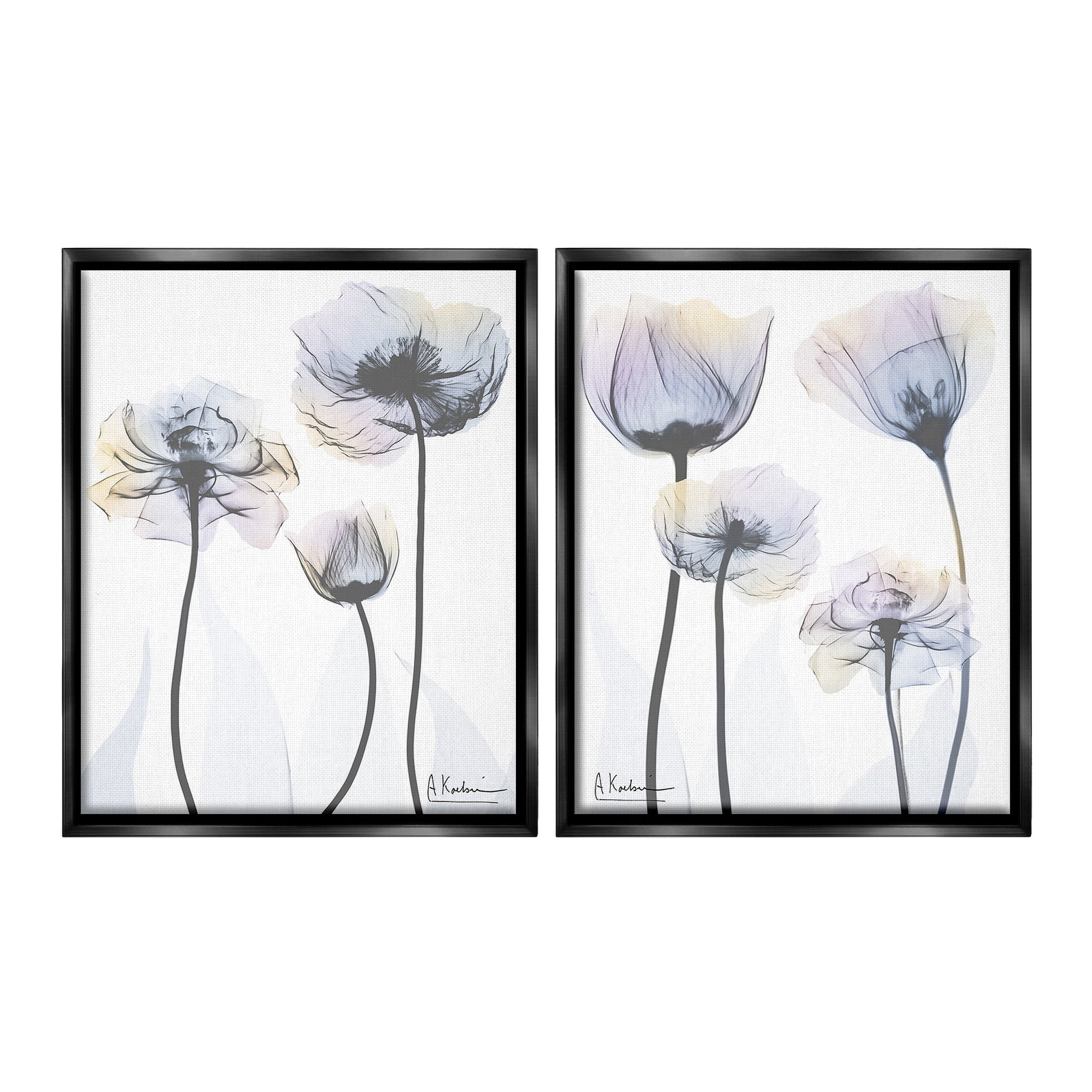 Stupell Industries Modern X-Ray Blooms Botanical & Floral Photography Black Floater Framed Canvas Art Print Wall Art, 25 x 31, Set of 2