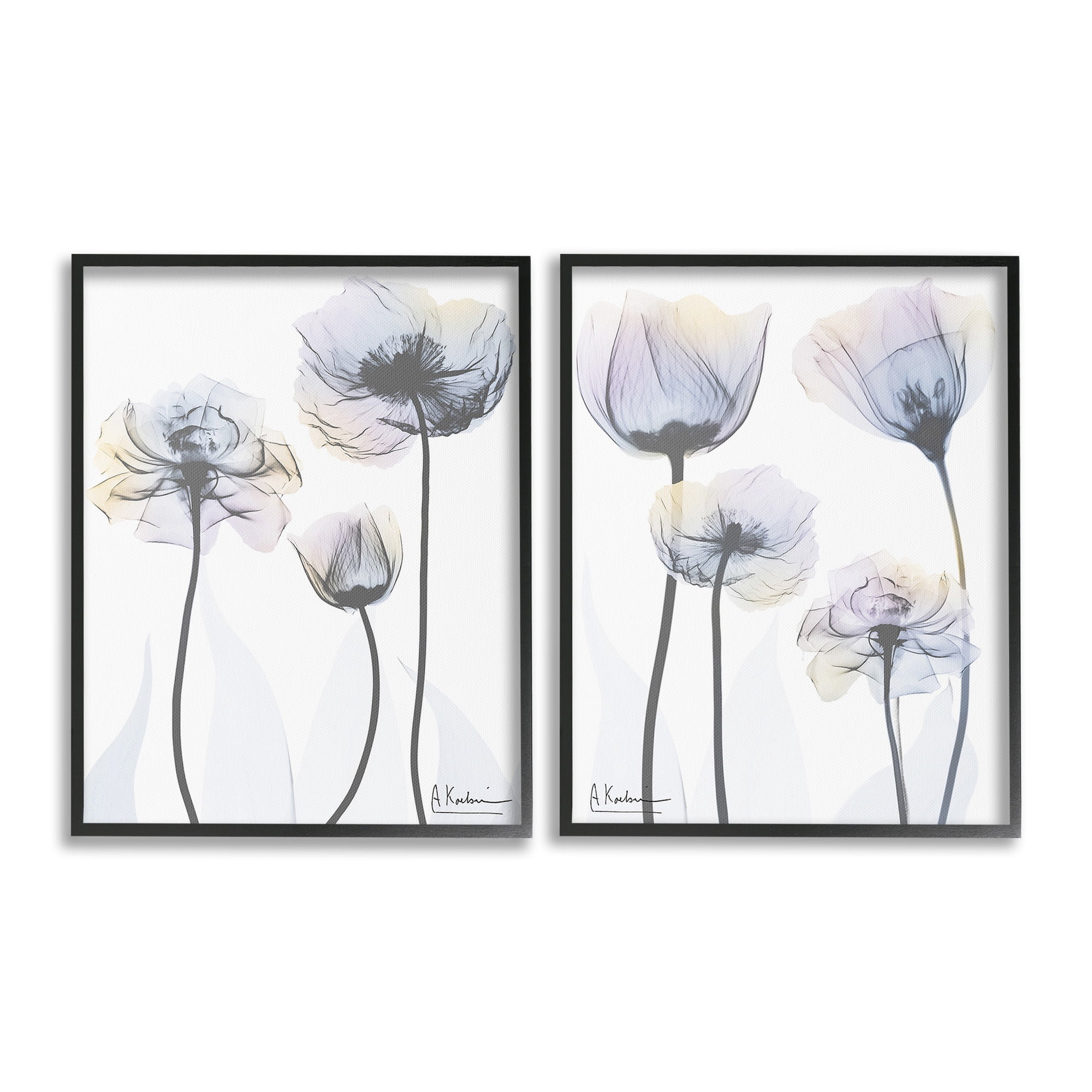 Stupell Industries Modern X-Ray Blooms Botanical & Floral Photography Black Framed Art Print Wall Art, 16 x 20, Set of 2
