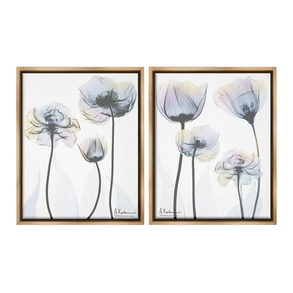 Stupell Industries Modern X-Ray Blooms Botanical & Floral Photography Brown Floater Framed Canvas Art Print Wall Art, 17 x 21, Set of 2