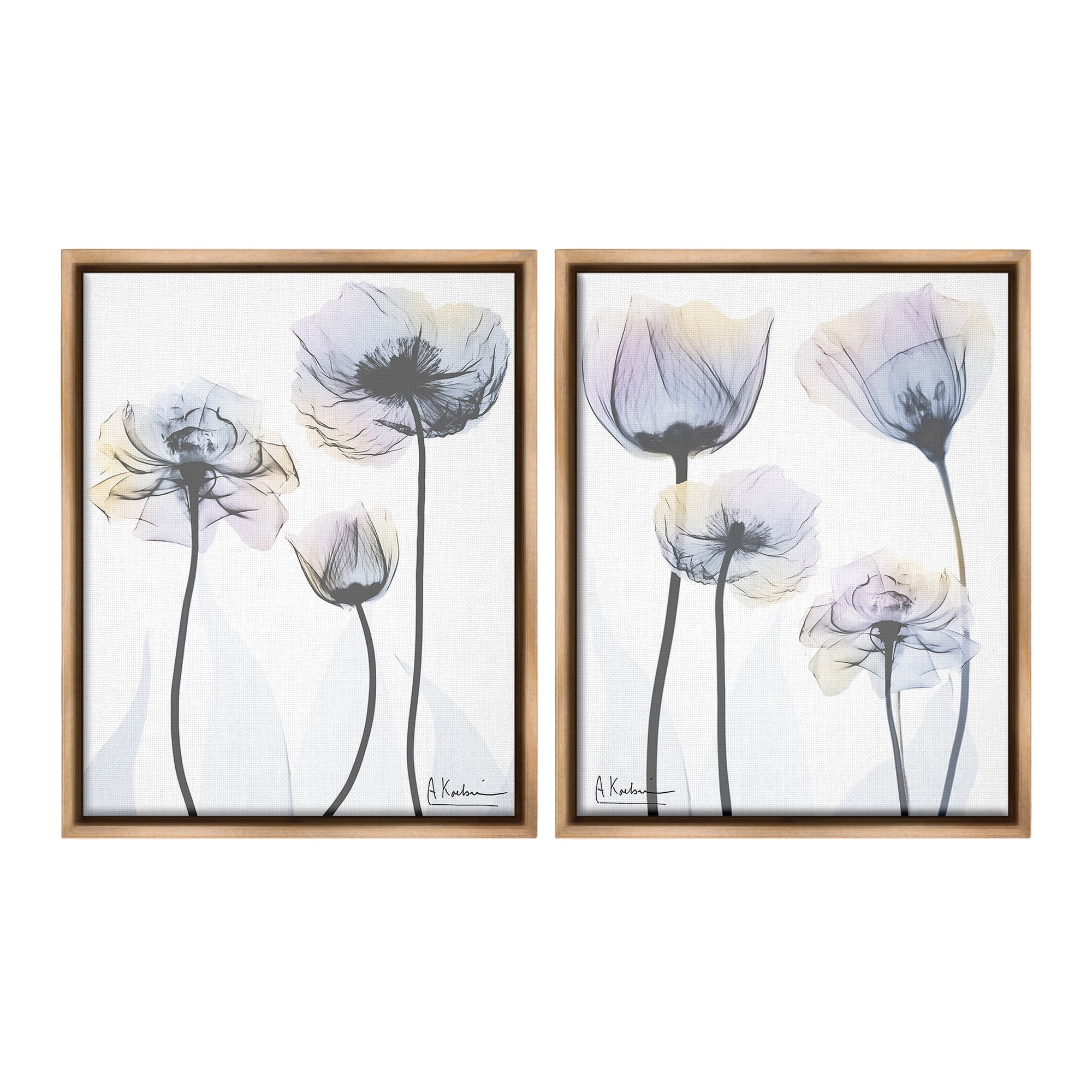 Stupell Industries Modern X-Ray Blooms Botanical & Floral Photography Brown Floater Framed Canvas Art Print Wall Art, 25 x 31, Set of 2