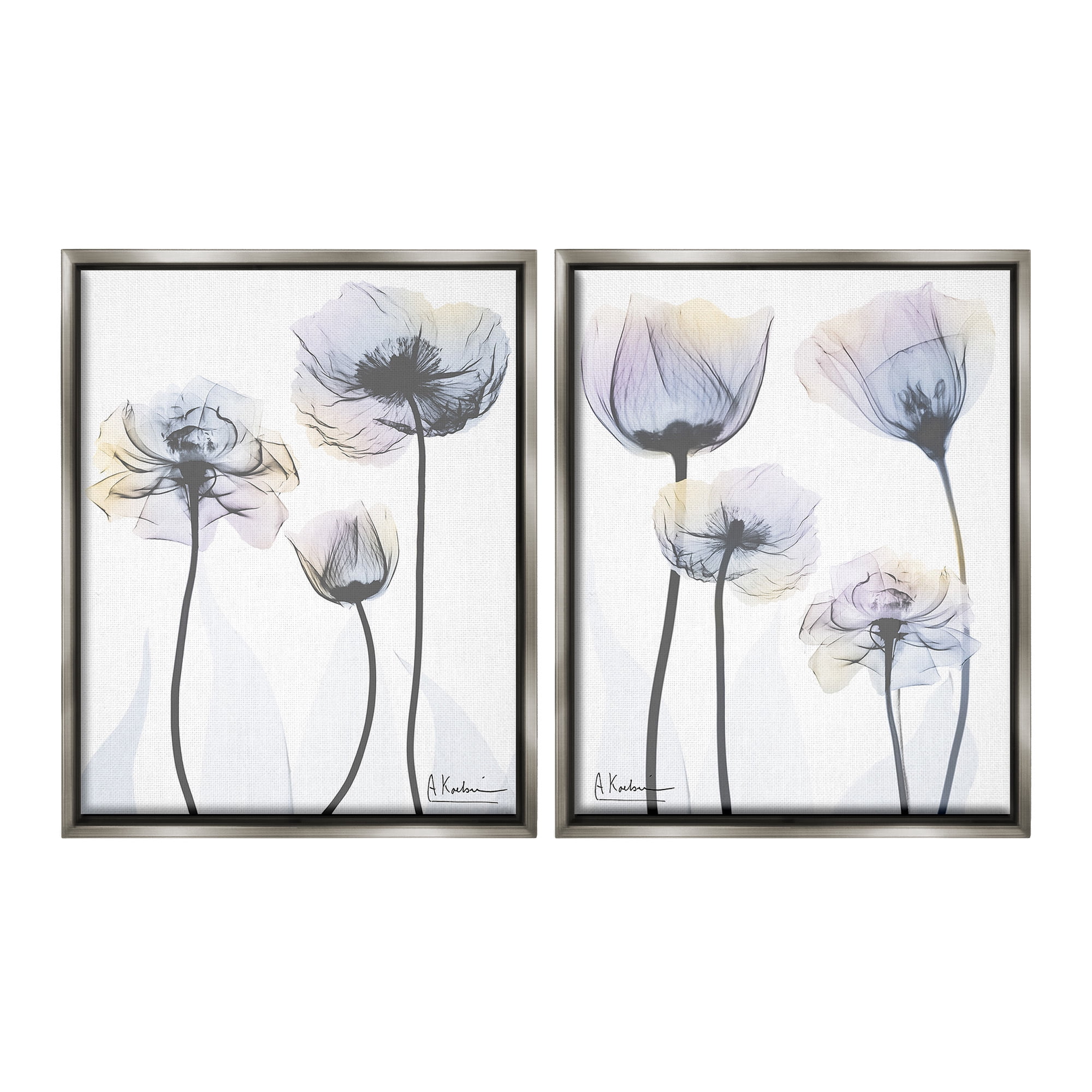 Stupell Industries Modern X-Ray Blooms Botanical & Floral Photography Gray Floater Framed Canvas Art Print Wall Art, 25 x 31, Set of 2