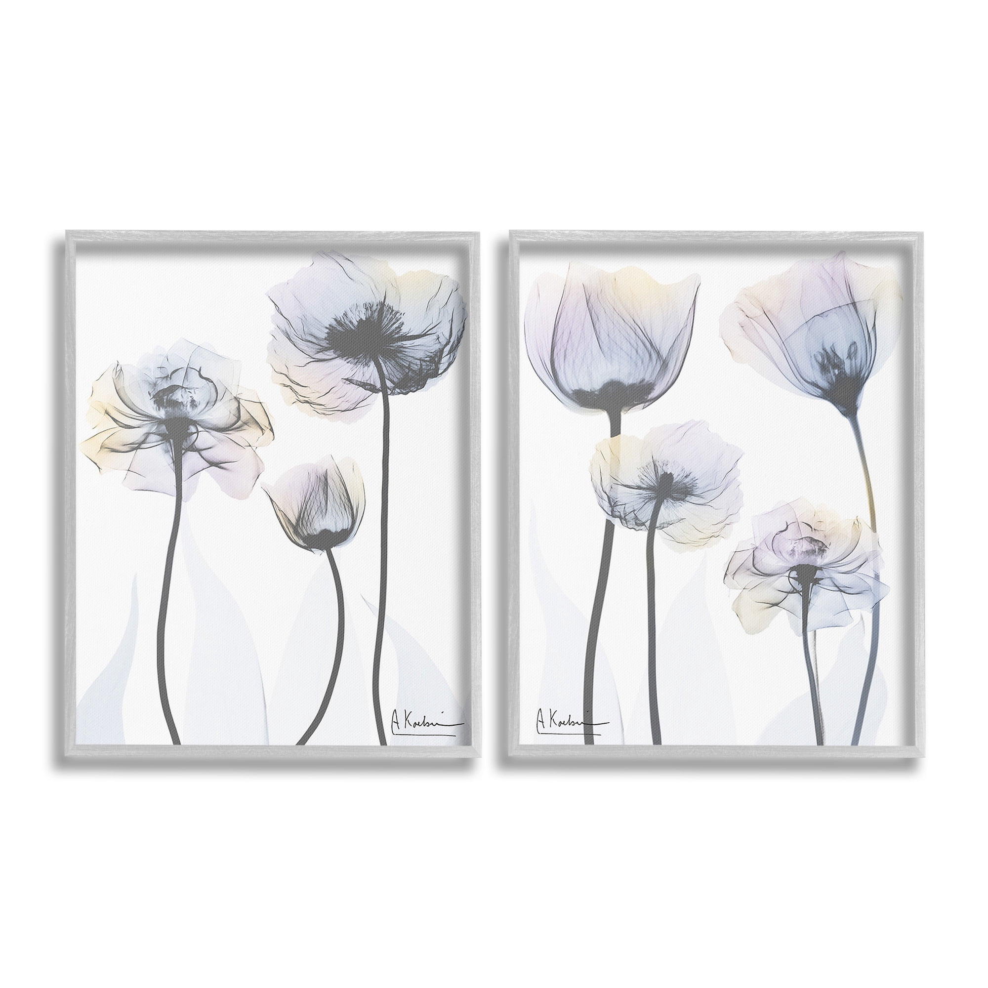 Stupell Industries Modern X-Ray Blooms Botanical & Floral Photography Gray Framed Art Print Wall Art, 24 x 30, Set of 2