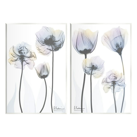 Stupell Industries Modern X-Ray Blooms Botanical & Floral Photography Unframed Art Print Wall Art, 10 x 15, Set of 2