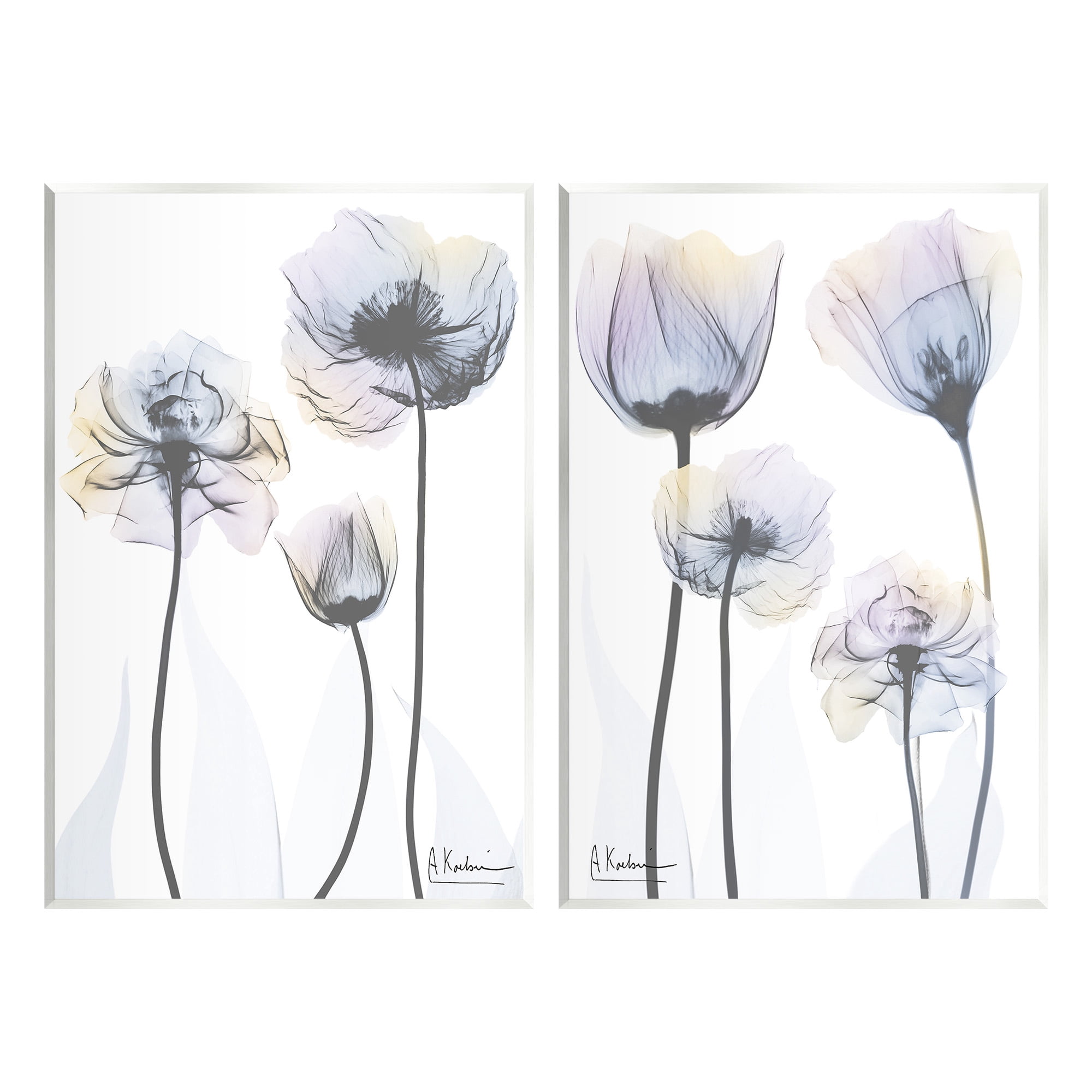 Stupell Industries Modern X-Ray Blooms Botanical & Floral Photography Unframed Art Print Wall Art, 13 x 19, Set of 2