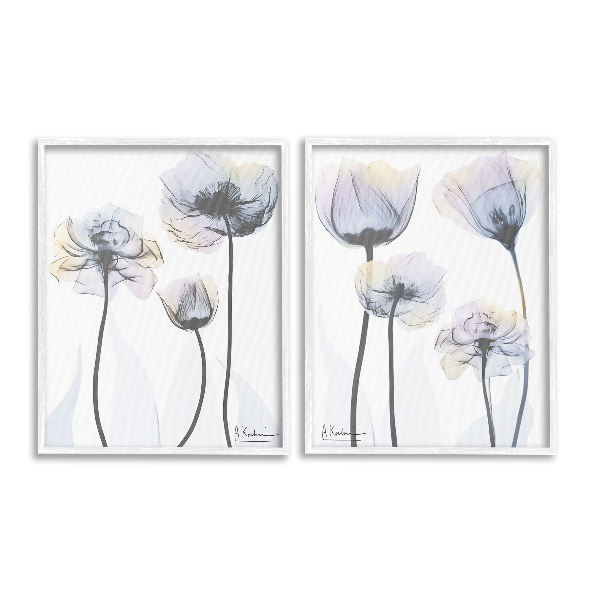 Stupell Industries Modern X-Ray Blooms Botanical & Floral Photography White Framed Art Print Wall Art, 11 x 14, Set of 2