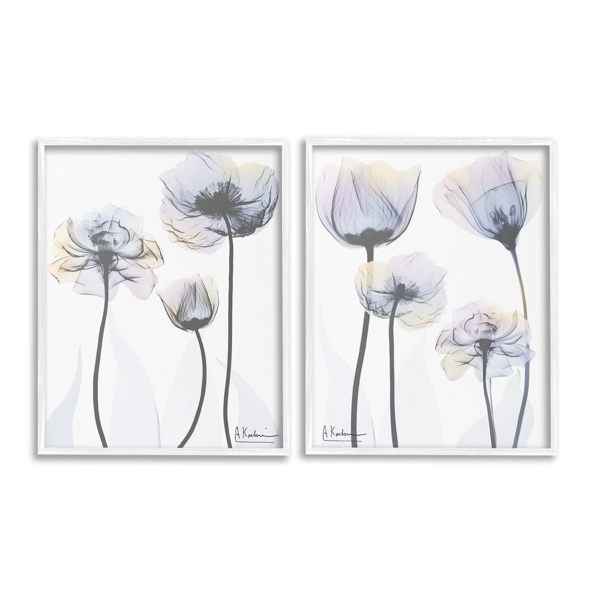 Stupell Industries Modern X-Ray Blooms Botanical & Floral Photography White Framed Art Print Wall Art, 16 x 20, Set of 2