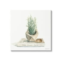 Stupell Industries Modest Herb Planter Book Painting Gallery Wrapped Canvas Print Wall Art, Design by Danhui Nai