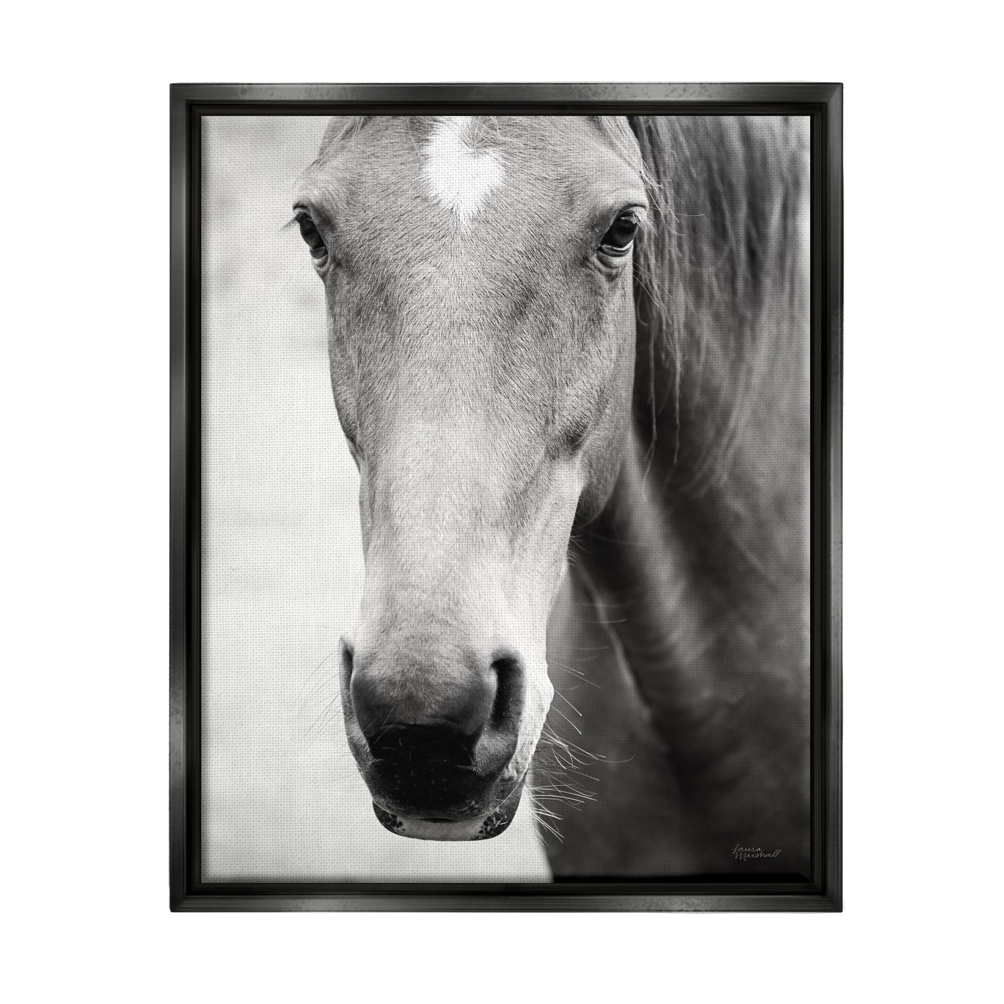 Stupell Industries Moke Lake Horse Photography Animals & Insects Photography Black Floater Framed Art Print Wall Art, 25 x 31