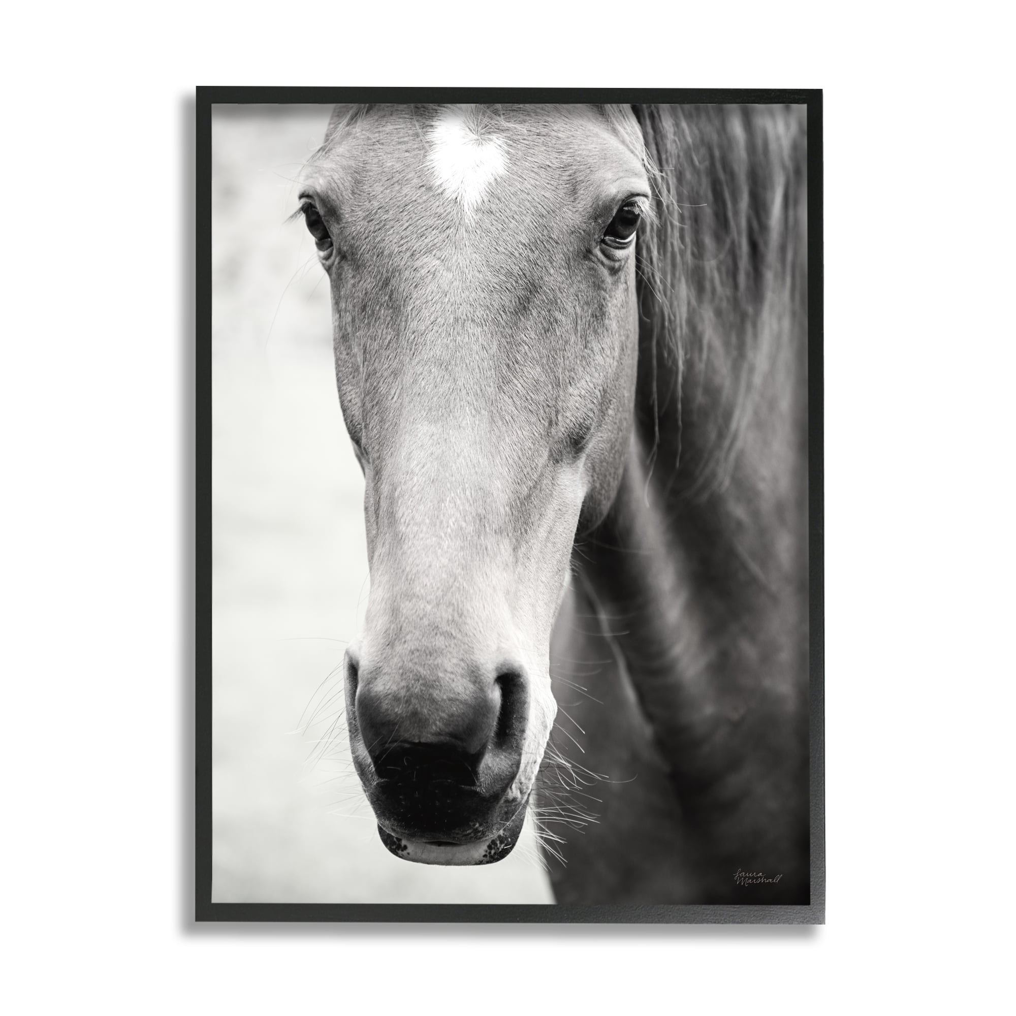 Stupell Industries Moke Lake Horse Photography Animals & Insects Photography Black Framed Art Print Wall Art, 16 x 20