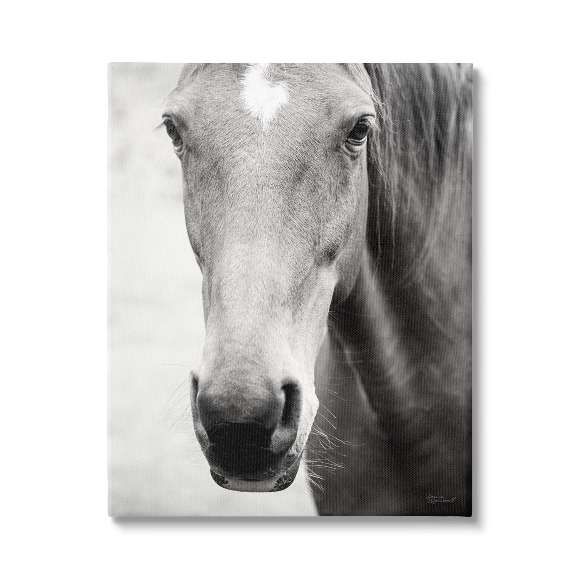 Stupell Industries Moke Lake Horse Photography Animals & Insects Photography Gallery Wrapped Canvas Print Wall Art, 16 x 20